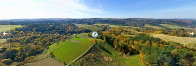 Nadleśnictwo Dynów